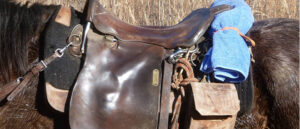 Close shot of a saddle on a horse.