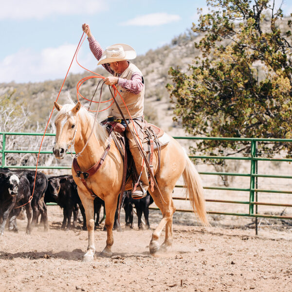 Ranching