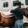 5 Star Equine The Painted Classic - Limited Edition 5 Star Pad - 6