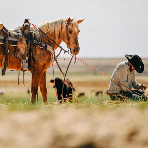 Roping