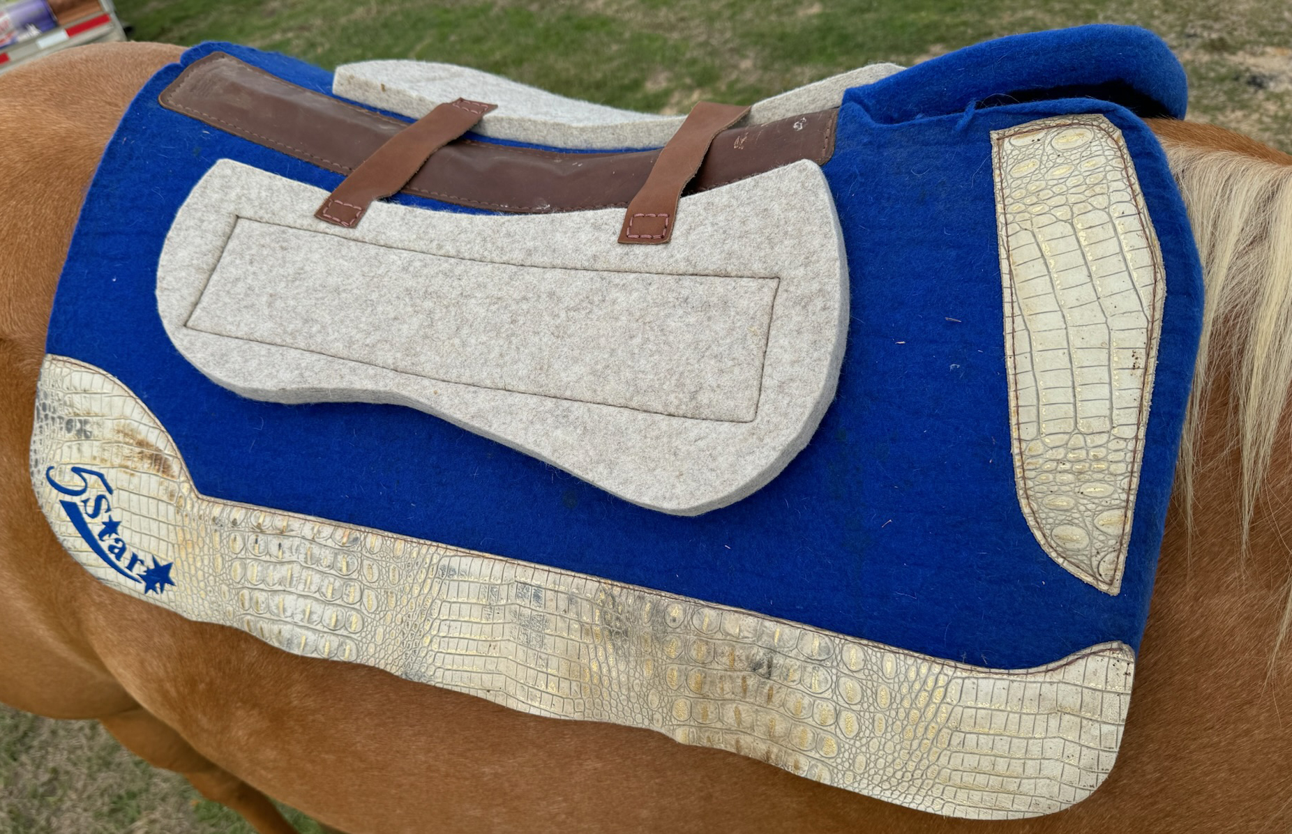 Natural Saddle Bar Shims on a horse