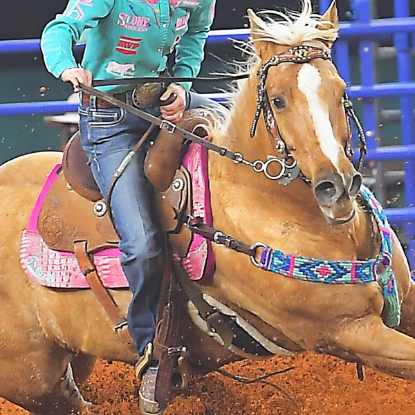 Wool Saddle Pads