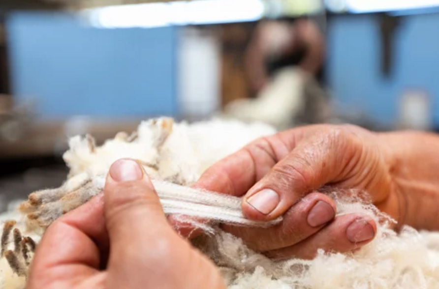 Say Goodbye to Gimmicks: Choose Pure Wool for Real Results