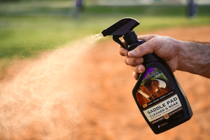 Spring Tune-Up for Your Horse & Gear: Everything You Need for a Fresh Start This Season - 4