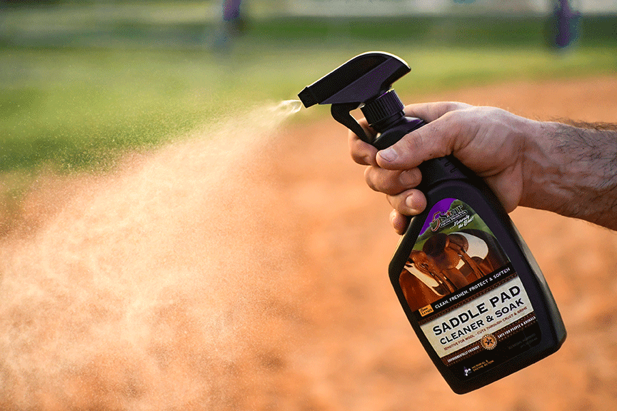 Spring Tune-Up for Your Horse & Gear: Everything You Need for a Fresh Start This Season