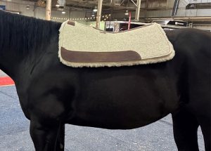 How to Choose the Right Saddle Pad: Fit, Function & Feel - 2