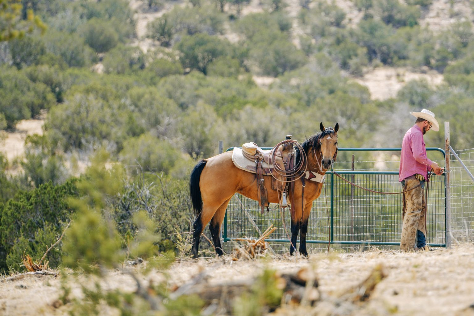 Celebrating the Spirit of the Cowboy