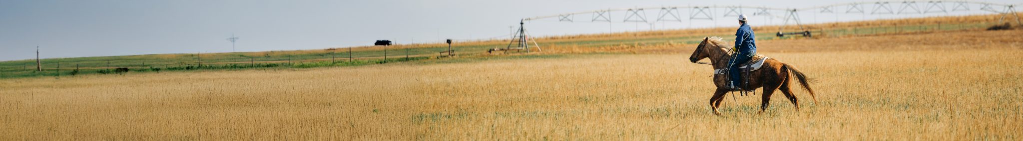 Southwest Breast Collars