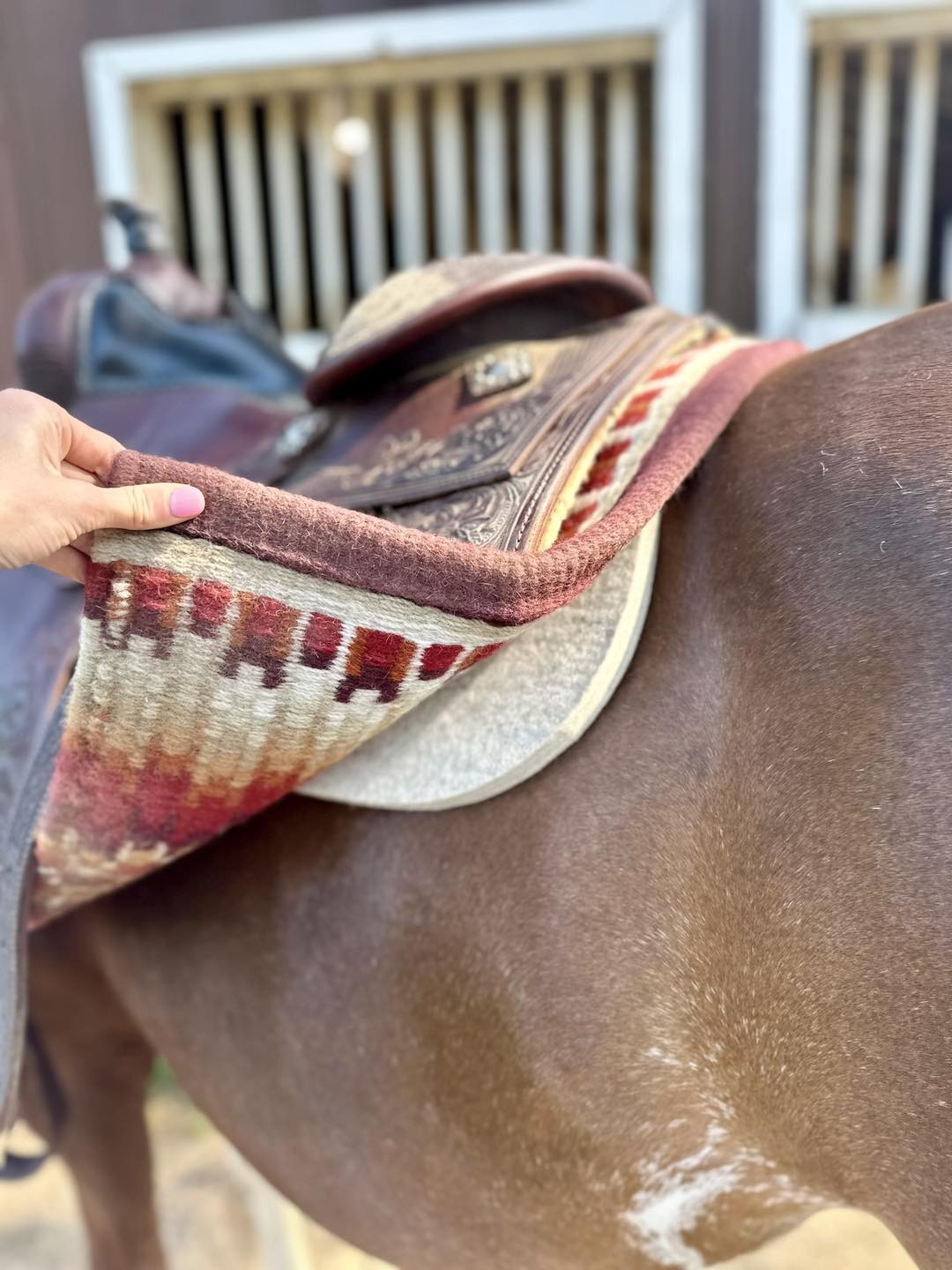 The Ultimate Show Pad