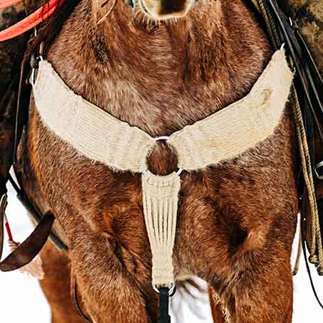 Basic Breast Collars