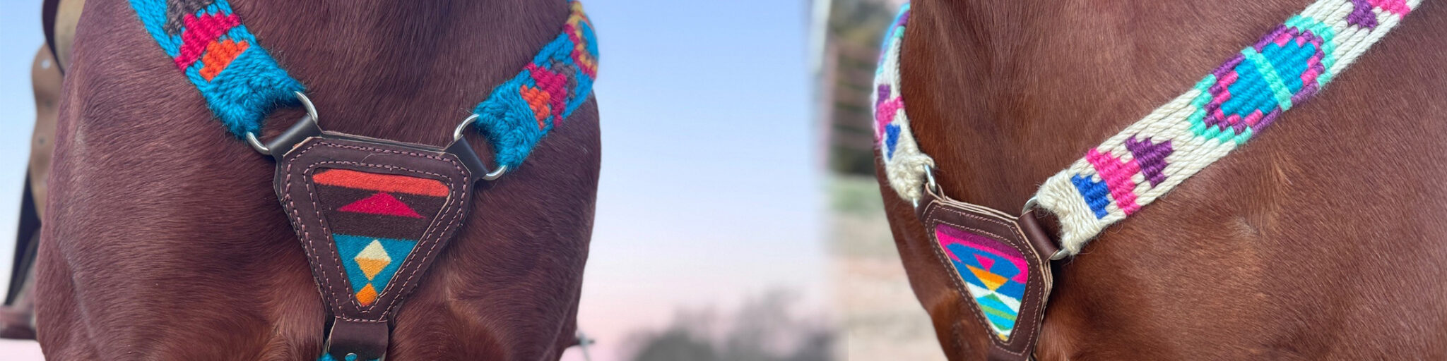 Themed Breast Collars