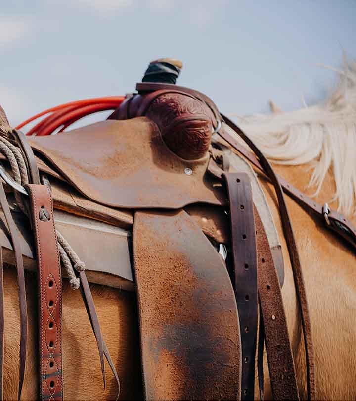 shop-by-product-optimized