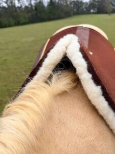 Horse Saddle Pad Fit