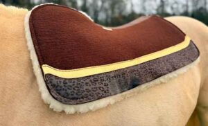 Common Signs Your Horse’s Saddle Pad Doesn’t Fit Right | Fit Guide - 11
