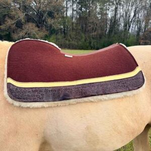 Wither & Fit Options Explained: Saddle Pad Wither Fit Options - 5