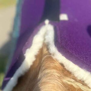 Wither & Fit Options Explained: Saddle Pad Wither Fit Options - 4
