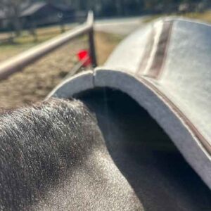Wither & Fit Options Explained: Saddle Pad Wither Fit Options - 8