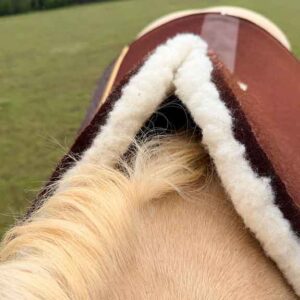Wither & Fit Options Explained: Saddle Pad Wither Fit Options - 2