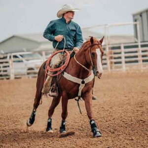 horse-patriot-arena 5 Star Patriot Sport Boots - Front and Rear - 18