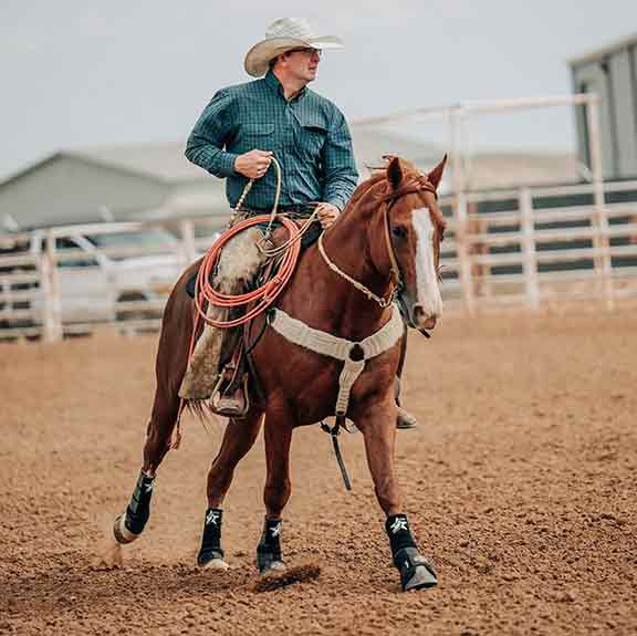 horse-patriot-arena 5 Star Patriot Sport Boots - Front and Rear - 9