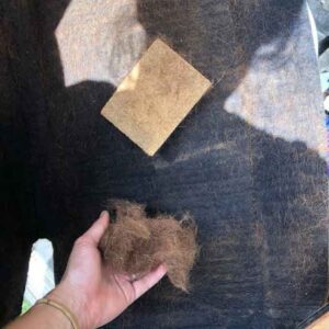 5 Star dry cleaning sponge and saddle pad maintenance