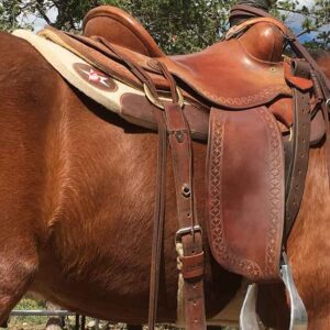 Beat the Heat: How to Clean, Dry & Store Your Wool Saddle Pad This Summer - 1