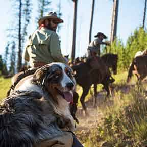 Trail Riding