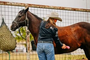 Horse and rider using 5 Star Equine Products