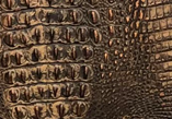 Brown Copper Croc — S111