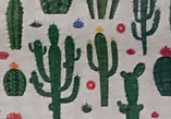 Cactus Plant – Artisan — S74