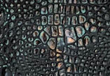 Dark Lagoon Bronze Croc — S73