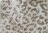 Golden Leopard — S132