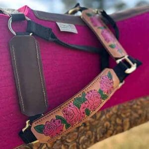 5 Star Leather Halters