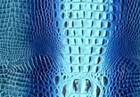 Oceanic Croc — S160