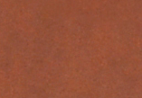 Oro Russet