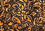 Savannah Roses — S100