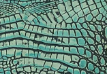 Topaz Blue Croc — S108