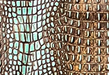 Turquoise Brown Croc — S124