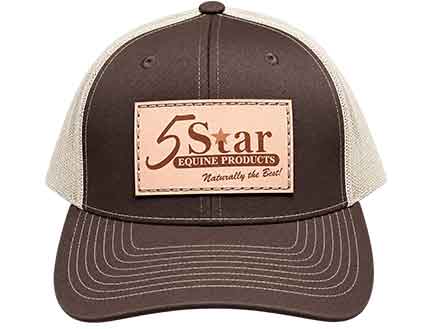 Star Split Brown and Dark Khaki Richardson Etched Patch Cap