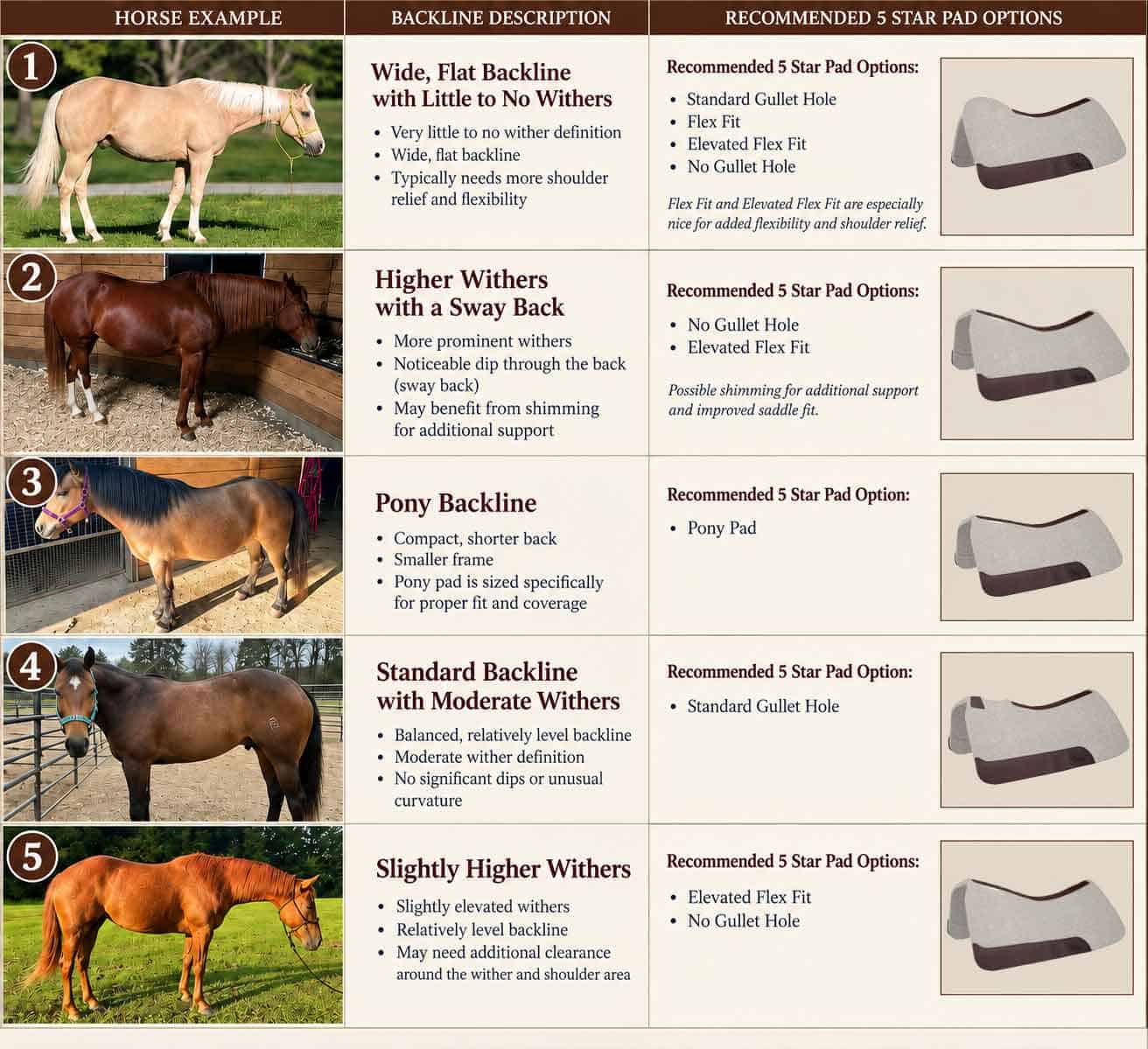 5 Star Horse Fitting Chart